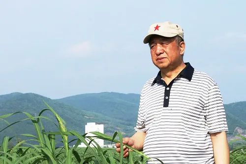 郑俊怀红星乳业现状,郑俊怀创办红星乳业