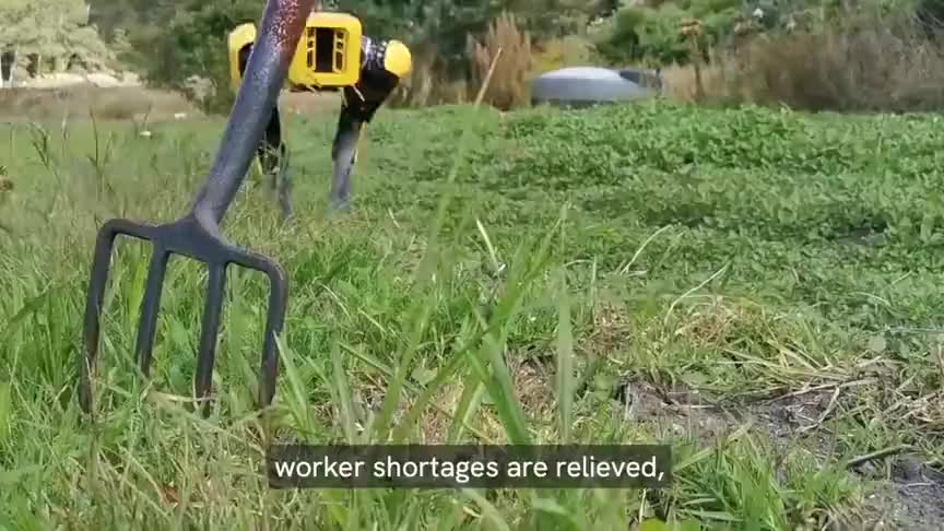 鍥藉鐢ㄦ満鍣ㄧ嫍鏀剧緤瑙嗛,鍥藉鐢ㄦ満鍣ㄧ嫍鏀剧緤