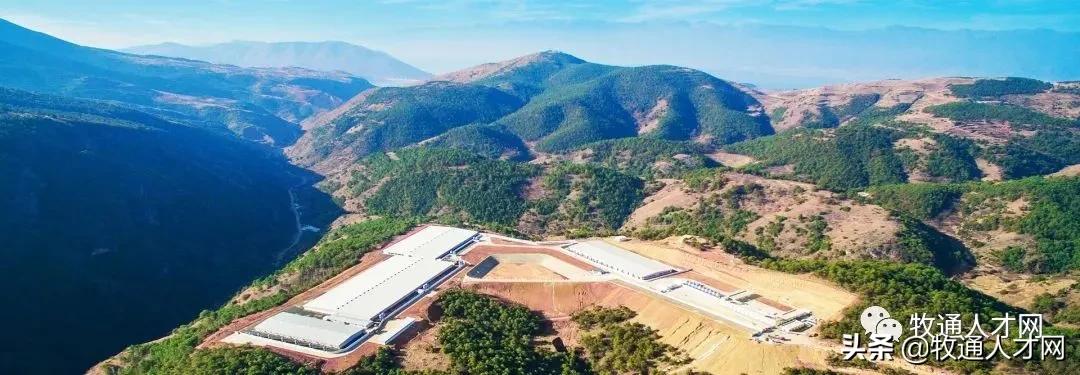 神农集团今日上市,首发股价“蹦迪”,董事长被爆行贿