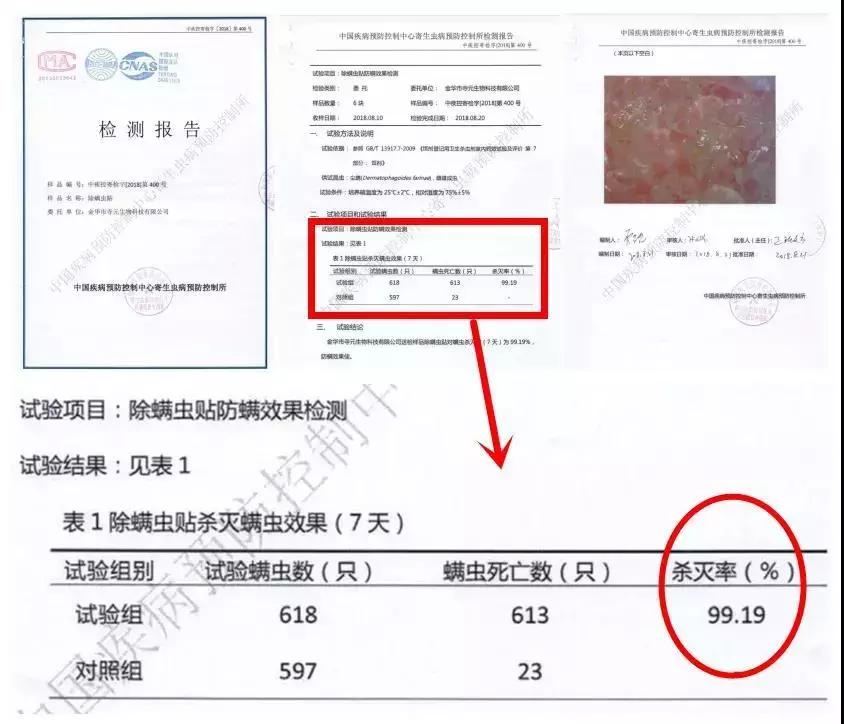 从床上吸出来的白色粉末是螨虫吗,生活窍门床单上的螨虫放大1000倍