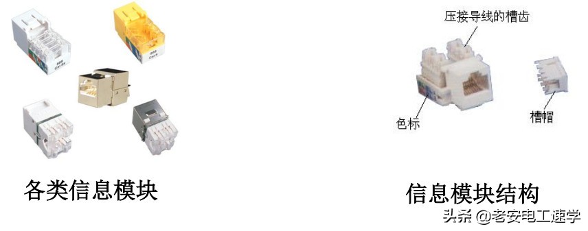 水晶头模块制作教程,超六类水晶头模块做法