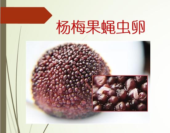 杨梅后期防落果的药剂,杨梅防落果药剂