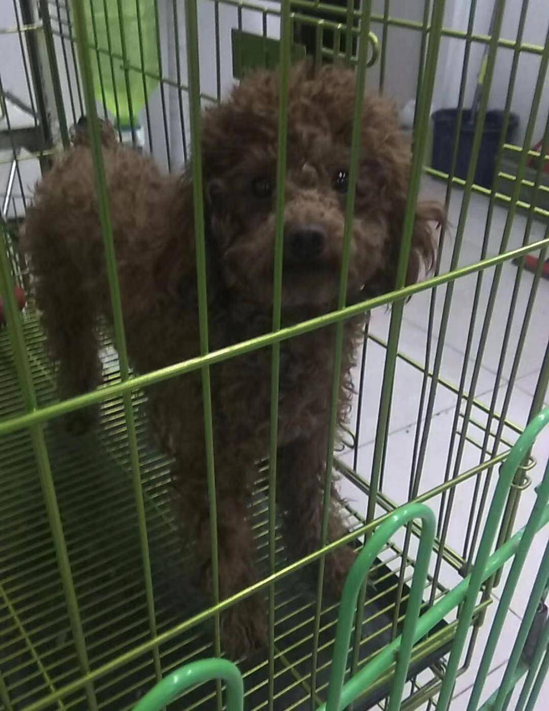 漫漫回家路殷殷游子情,漫漫归乡路满满高速情