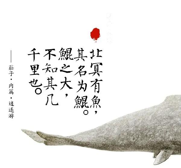 刘小枫什么水平,刘小枫小前锋