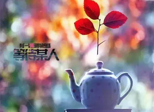 2019恋爱伤感句子抖音,抖音经典扎心的情感句子