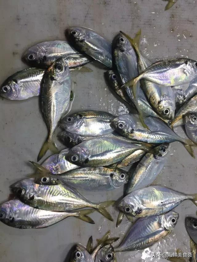 常见的鱼虾蟹等海鲜的认识,虾蟹类海鲜大全