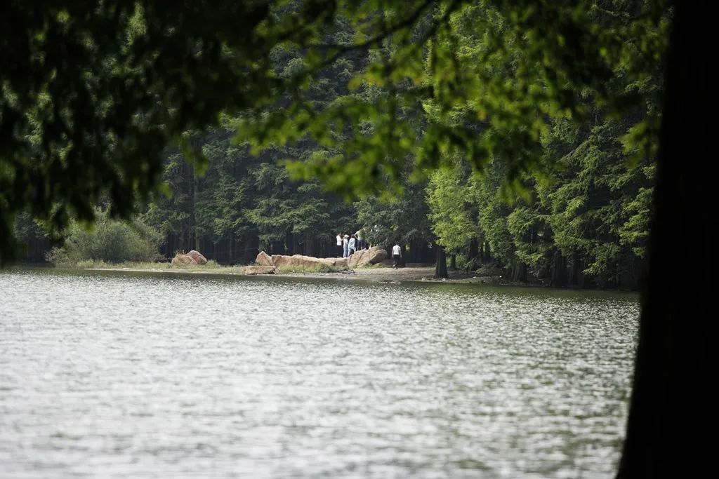 汉中龙池湖攻略,汉中龙池湖简介
