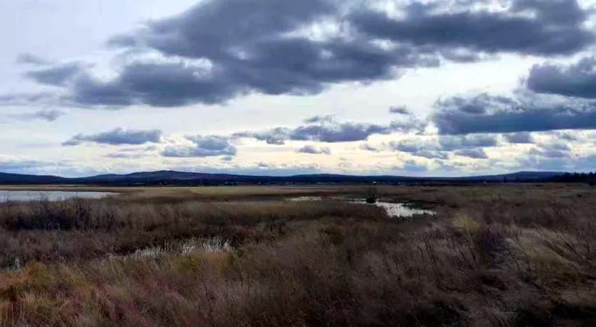 一啸渔乐霸道钓组,一啸渔乐最新视频