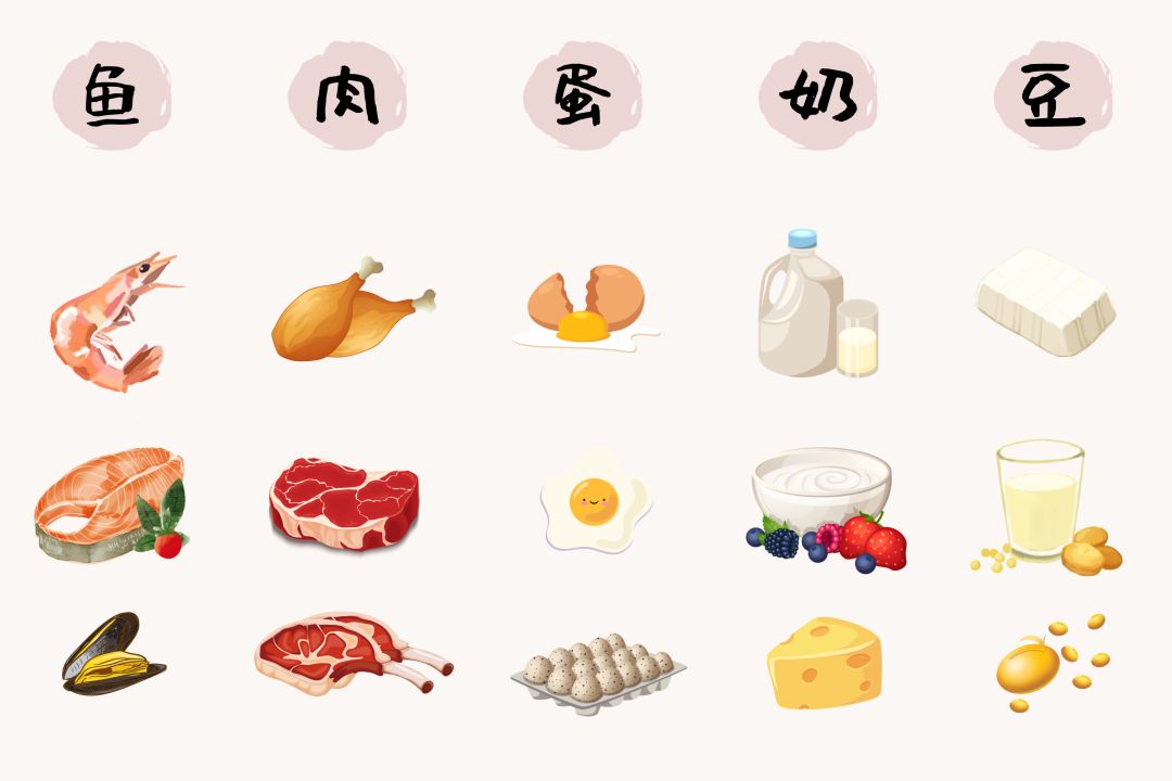 高碳水主食和高脂肪主食有什么,蛋白质碳水脂肪摄入合理的食谱