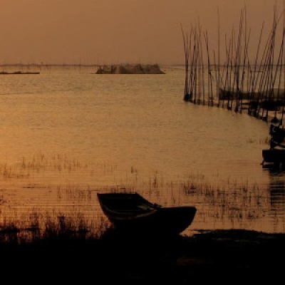 音乐治病最好的方法,音乐可以治病的视频