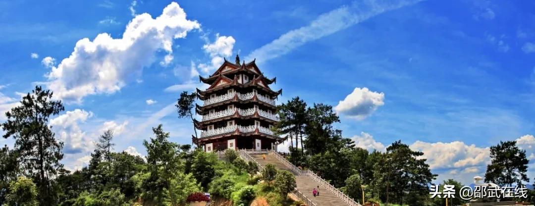 征文绿色无毒健康人生,征文绿色生活