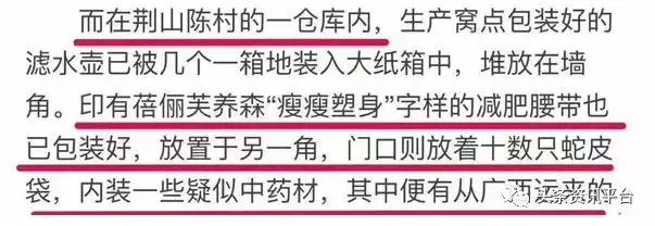 丽美人个人资料,丽美人月季