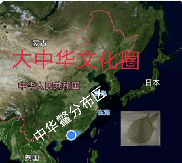 甲鱼厉害还是鳄龟厉害,甲鱼很强吗