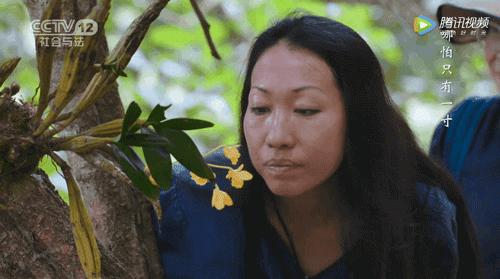 29岁不当记者，追随德国老公守护雨林，两女儿宛如天使，可不上学