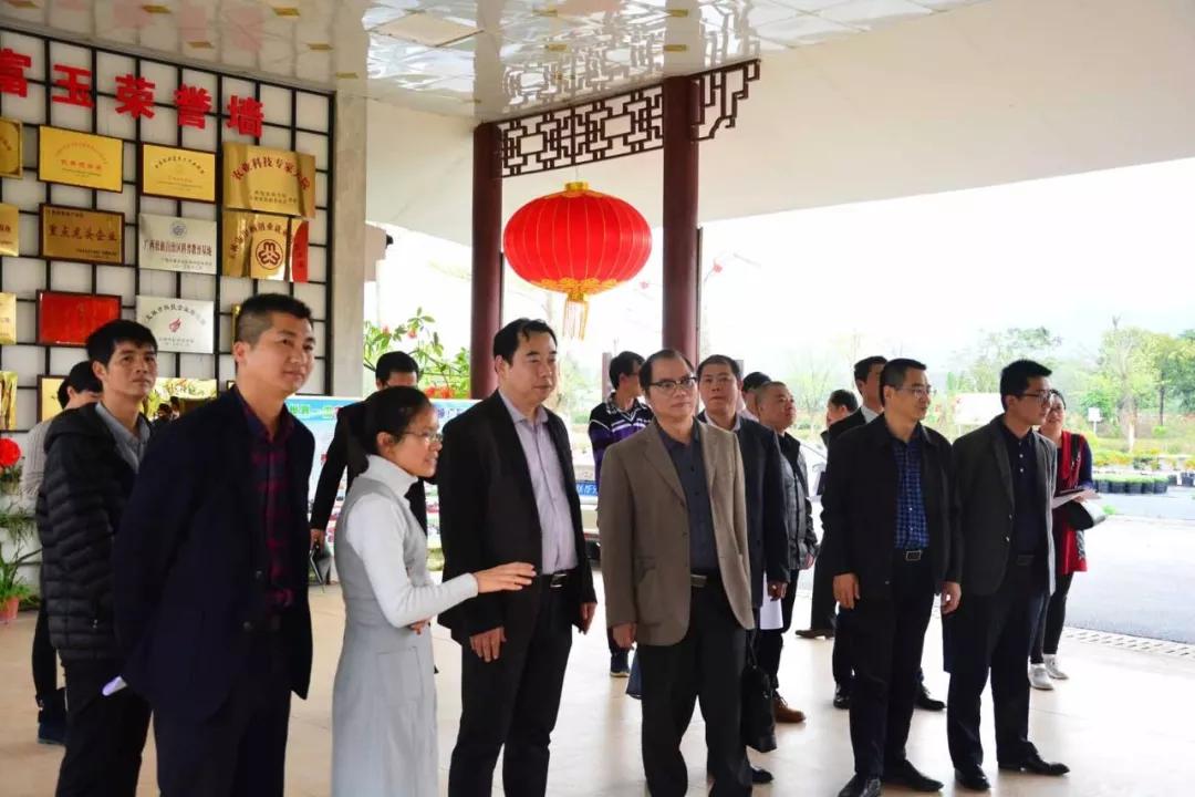 中农富玉大事记,中农富玉未来发展趋势