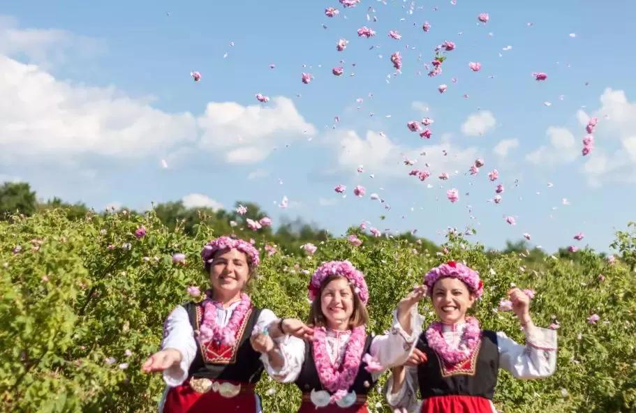 丹泽欧雅,丹泽欧雅富勒烯多肽焕颜面膜