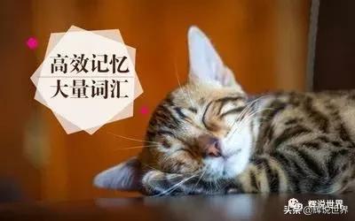 40句意境绝美的诗词,40句孤独经典语录