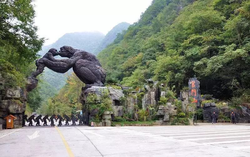 九峰源丨千年神农架，情系女儿城