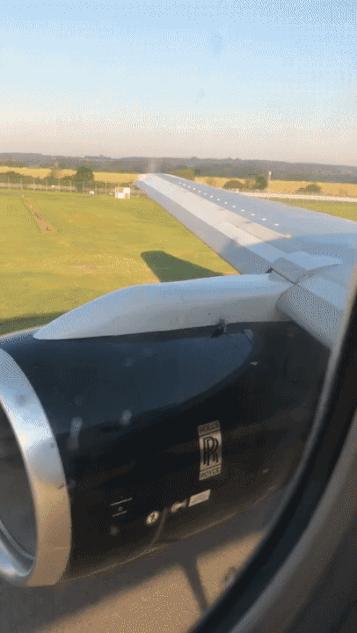 微胖渐欲迷人眼分分钟缴械投降的动态图