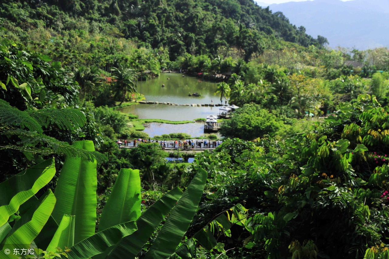 春天的诗句春眠不觉晓处处闻啼鸟,春日七首诗句