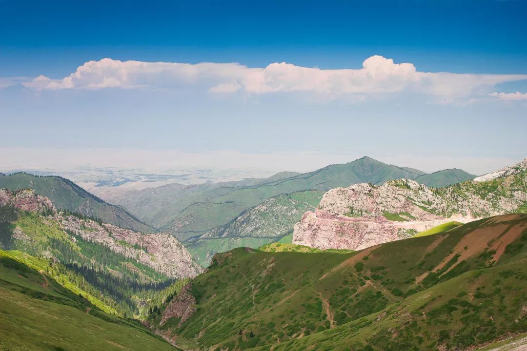 六月的北疆哪些地方值得去,六月的北疆解说