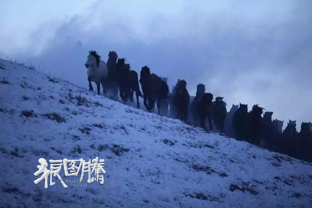 影视剧的剑道具,影视剧中的古代神器兵器