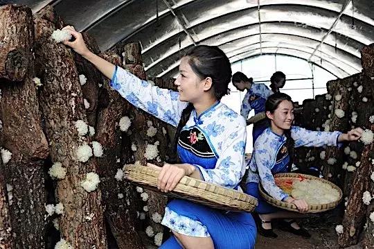 今天，我要夸夸我的通江