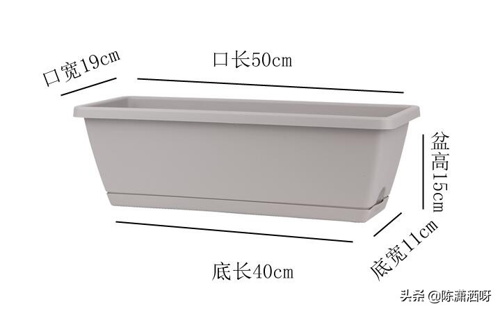 常见花卉花盆图片大全,各种花盆的优缺点图片介绍