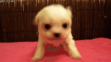 八音盒的小火车,八音盒秋季小火车