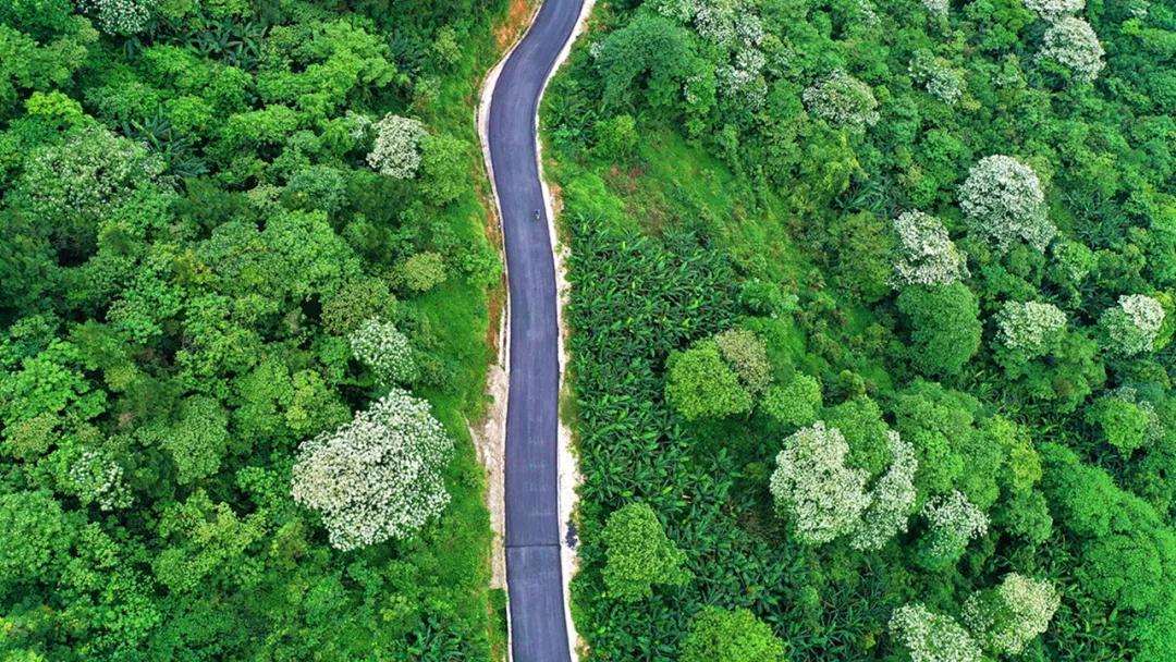 平天山航拍,卫星航拍平天山