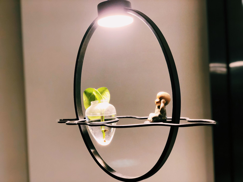 附近河豚鱼美食推荐,河豚鱼美食