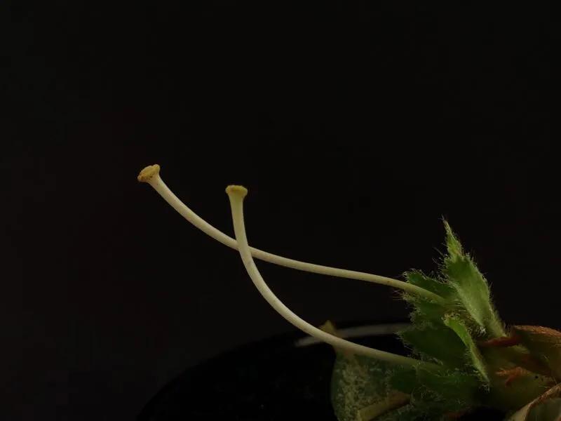 手拍世界微信公众号,手拍世界完整版视频