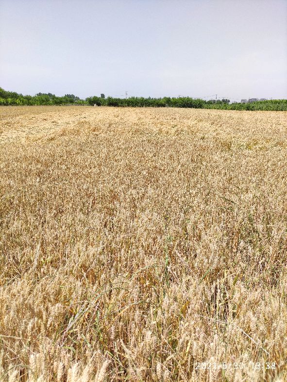 鎵撳崱闀垮畨鍙ゅ煄,鎵撳崱闀垮畨鏁呴噷