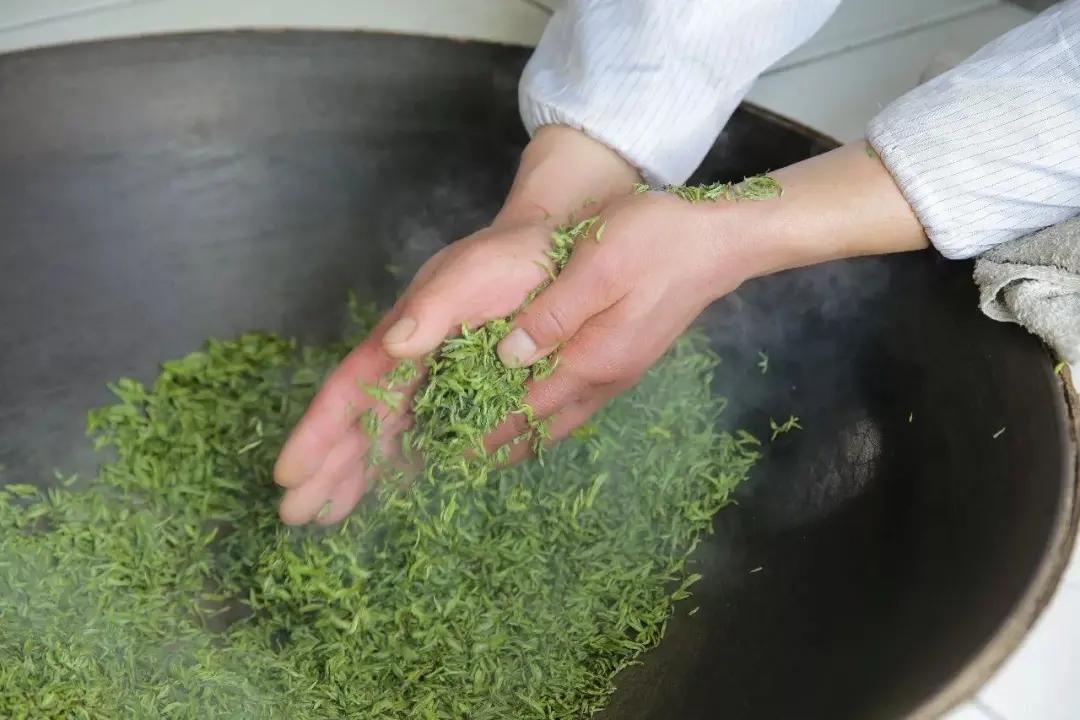 于丹趣品人生全集,于丹趣品茶韵视频全集