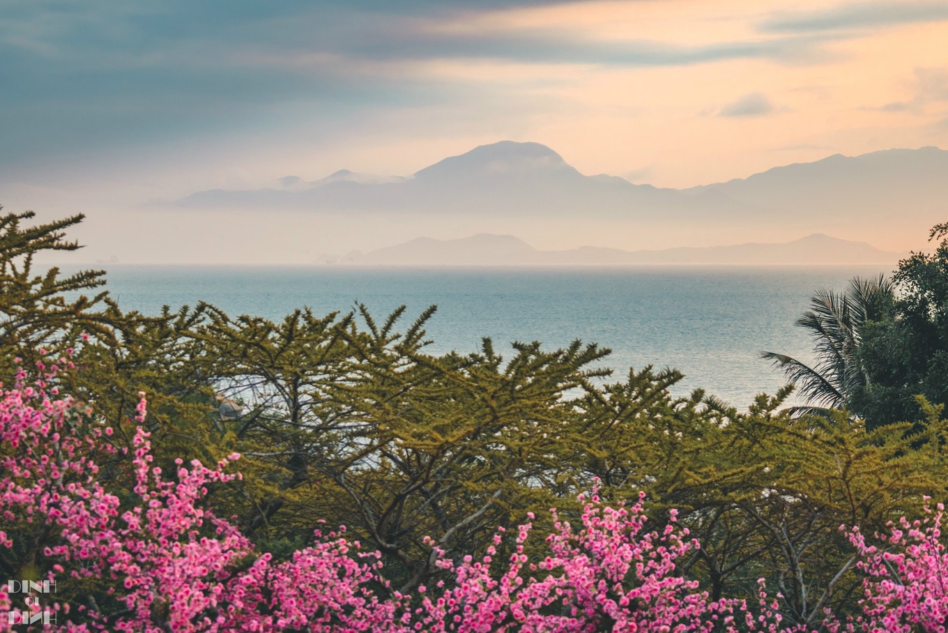 中国第一个私人海岛，被称为“中国马尔代夫”，惠州三角洲岛