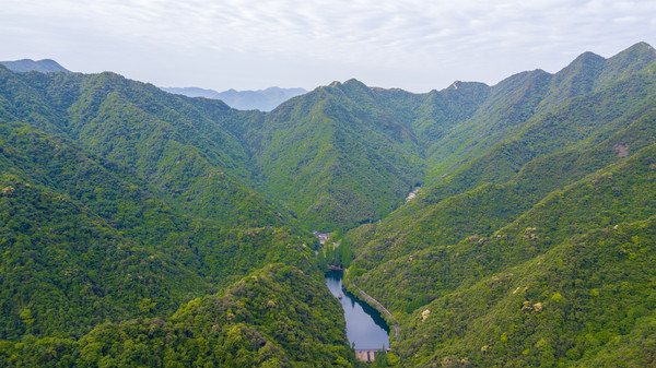 深藏在森林之中的温泉酒店,周末度假的好地方
