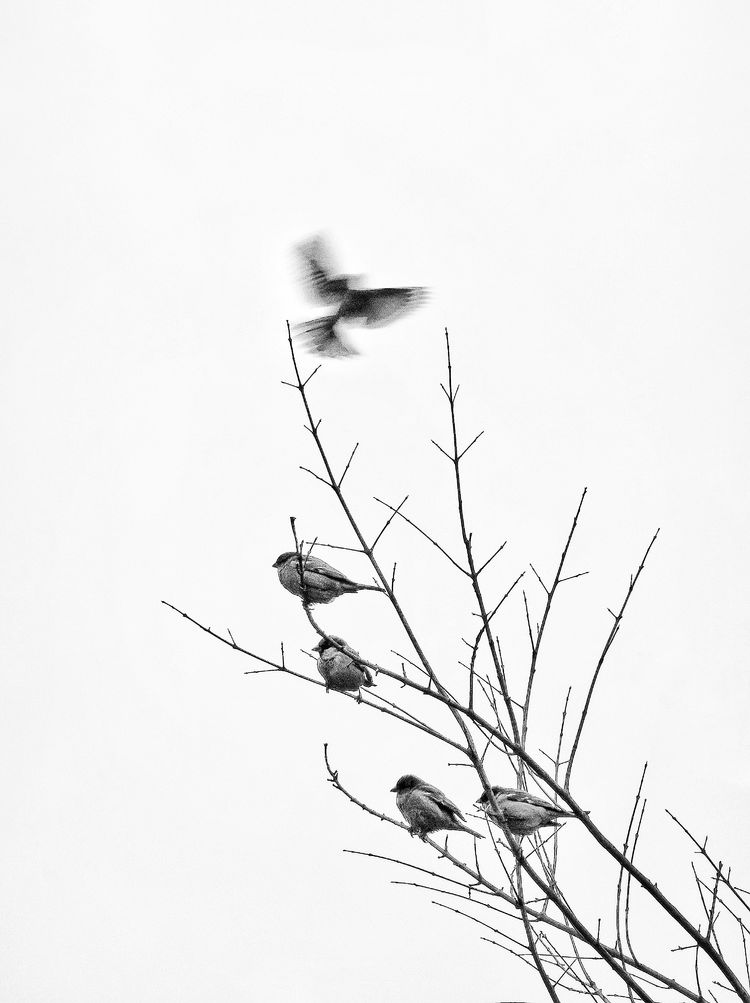 鎽勫奖鏂版墜璐拱鐩告満娉ㄦ剰浜嬮」,鎷嶅绾辨憚褰辫娉ㄦ剰浜嬮」