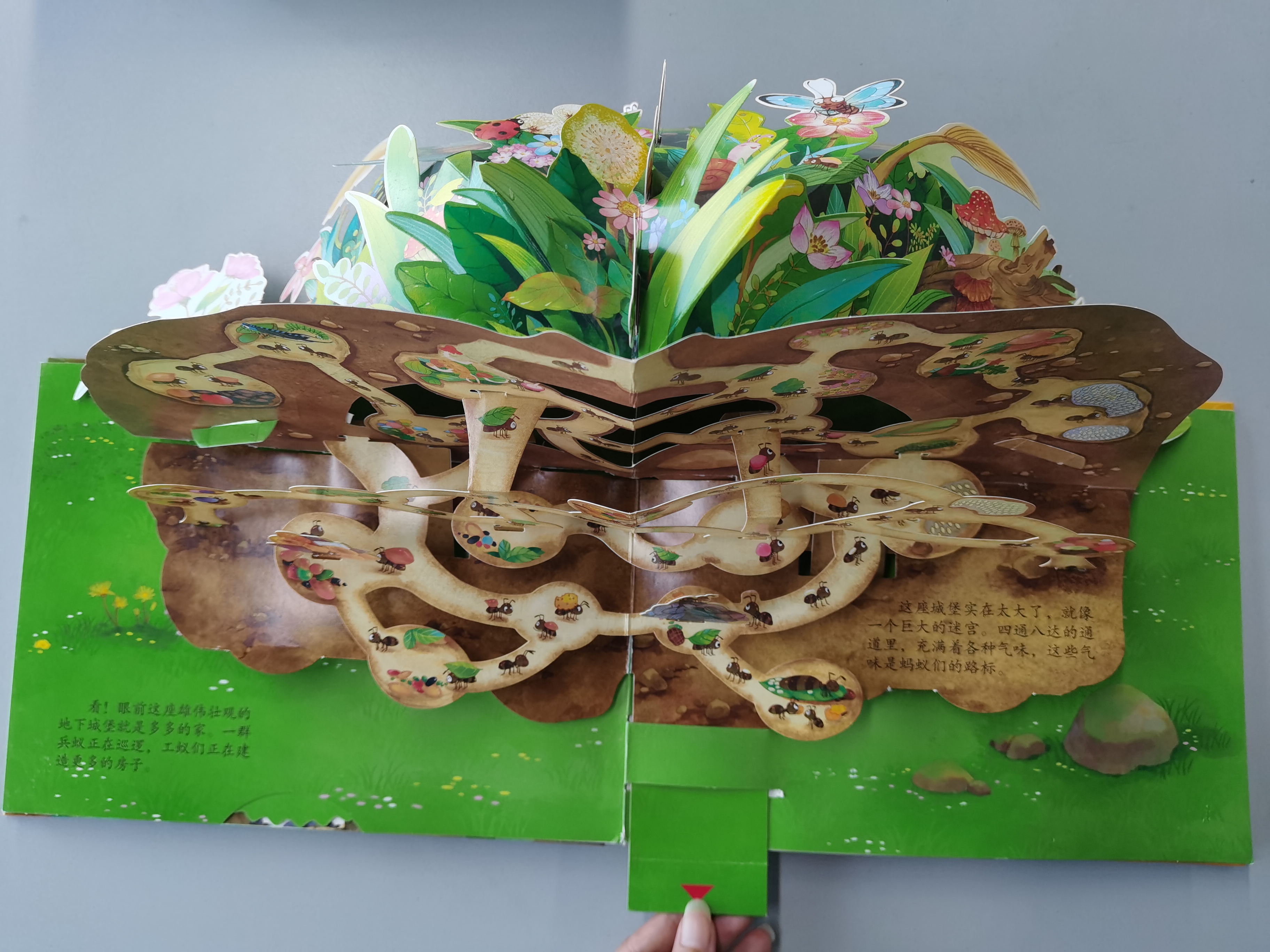 暑假该不该让孩子玩手机,暑假别给孩子玩手机了