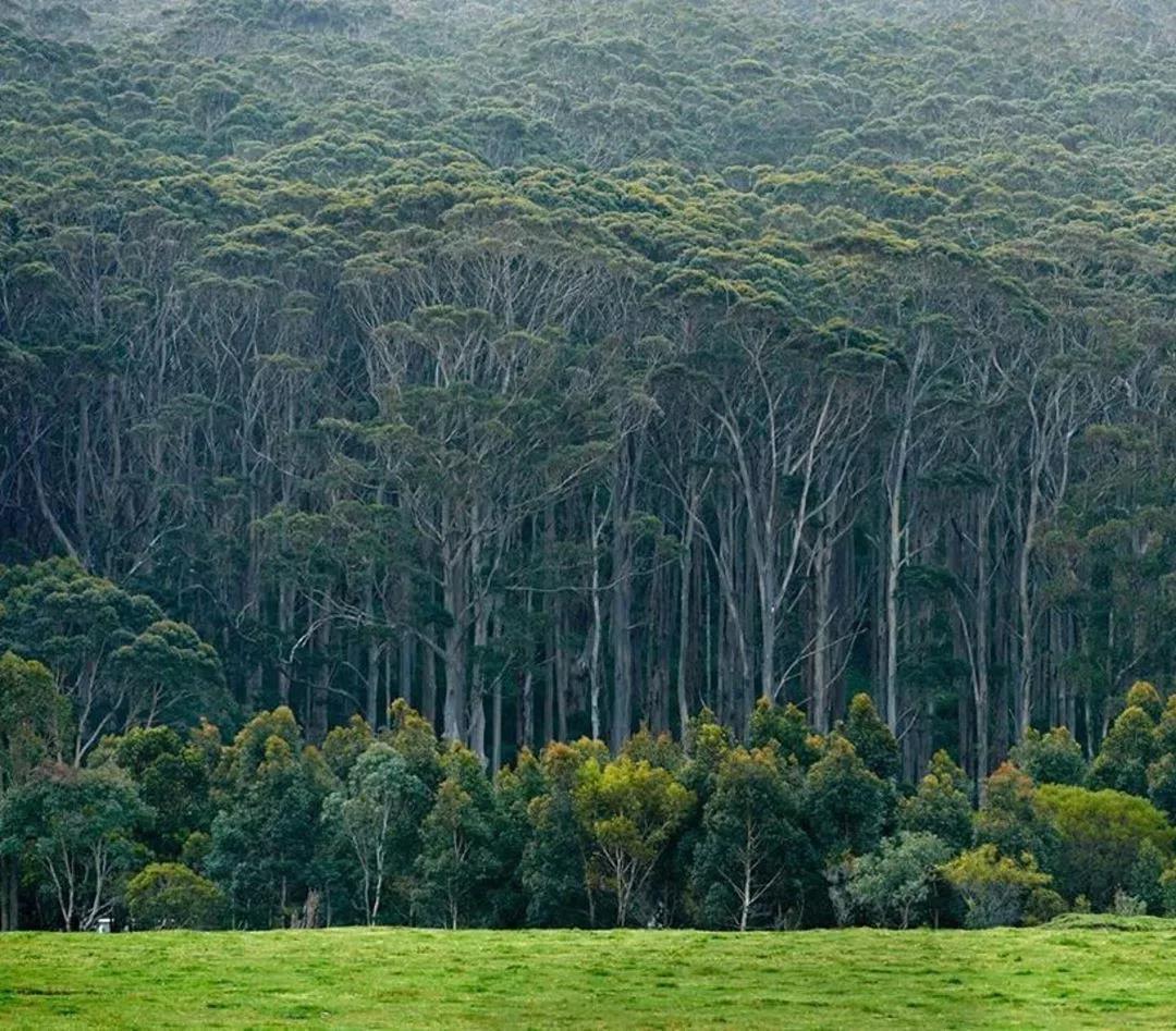 孤独星球海岛排名,lonelyplanet孤独星球