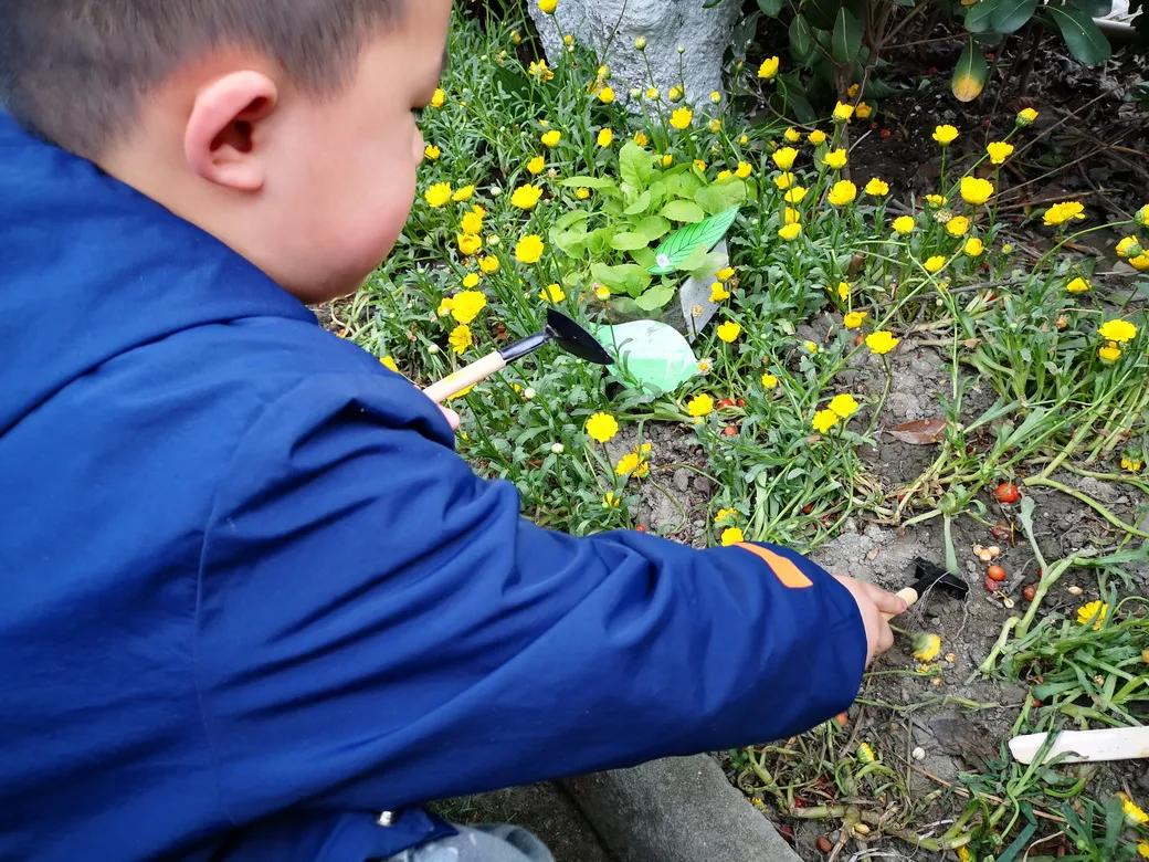 成都市双流区胜利幼儿园主题活动,天府新区幼儿园活动