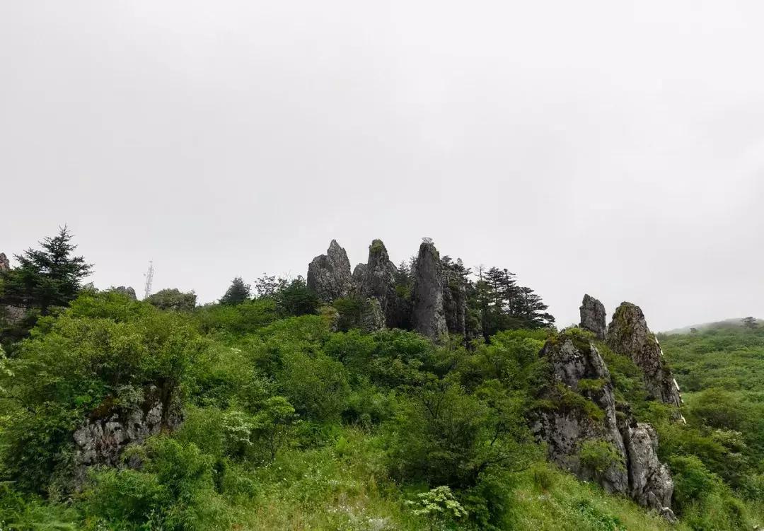 神农架攻略书,重庆出发神农架三日自驾游攻略