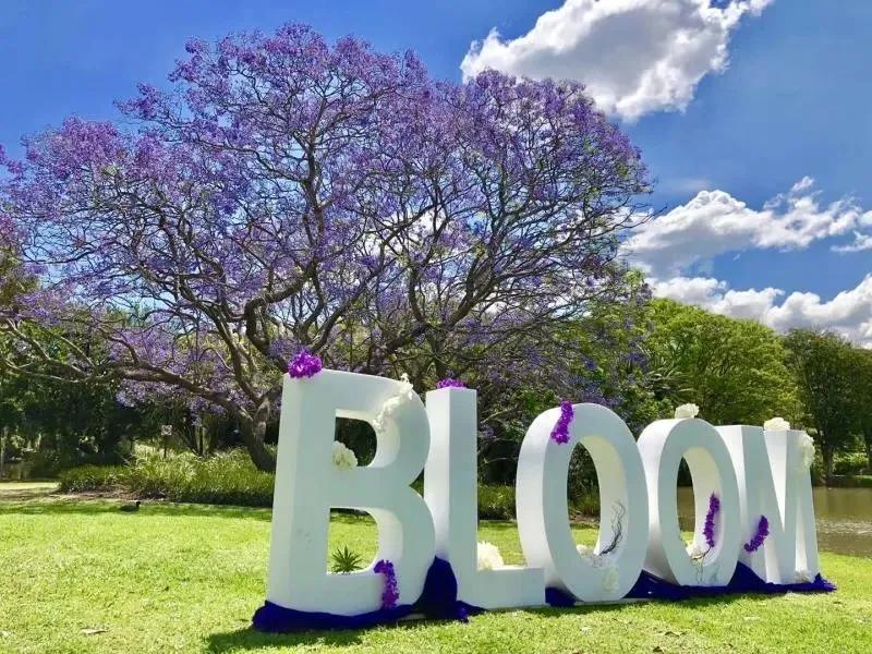 top50的昆士兰大学,昆士兰大学值得读吗