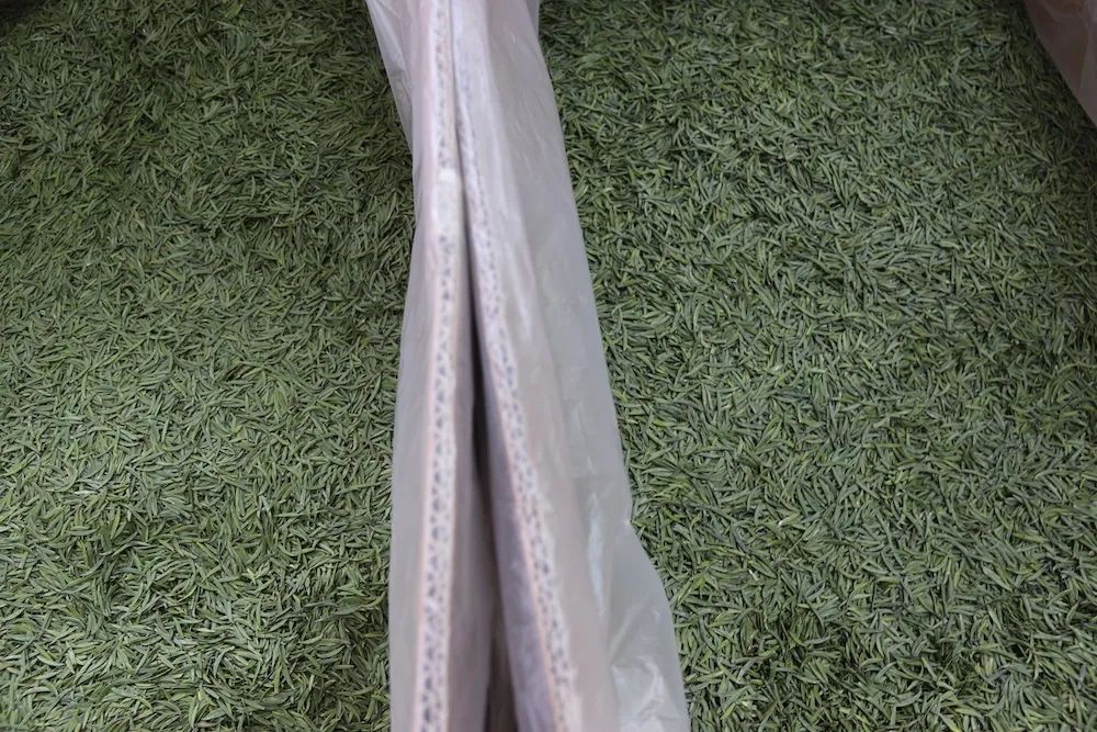 早上6点，去蒙顶山买茶是一种什么体验？