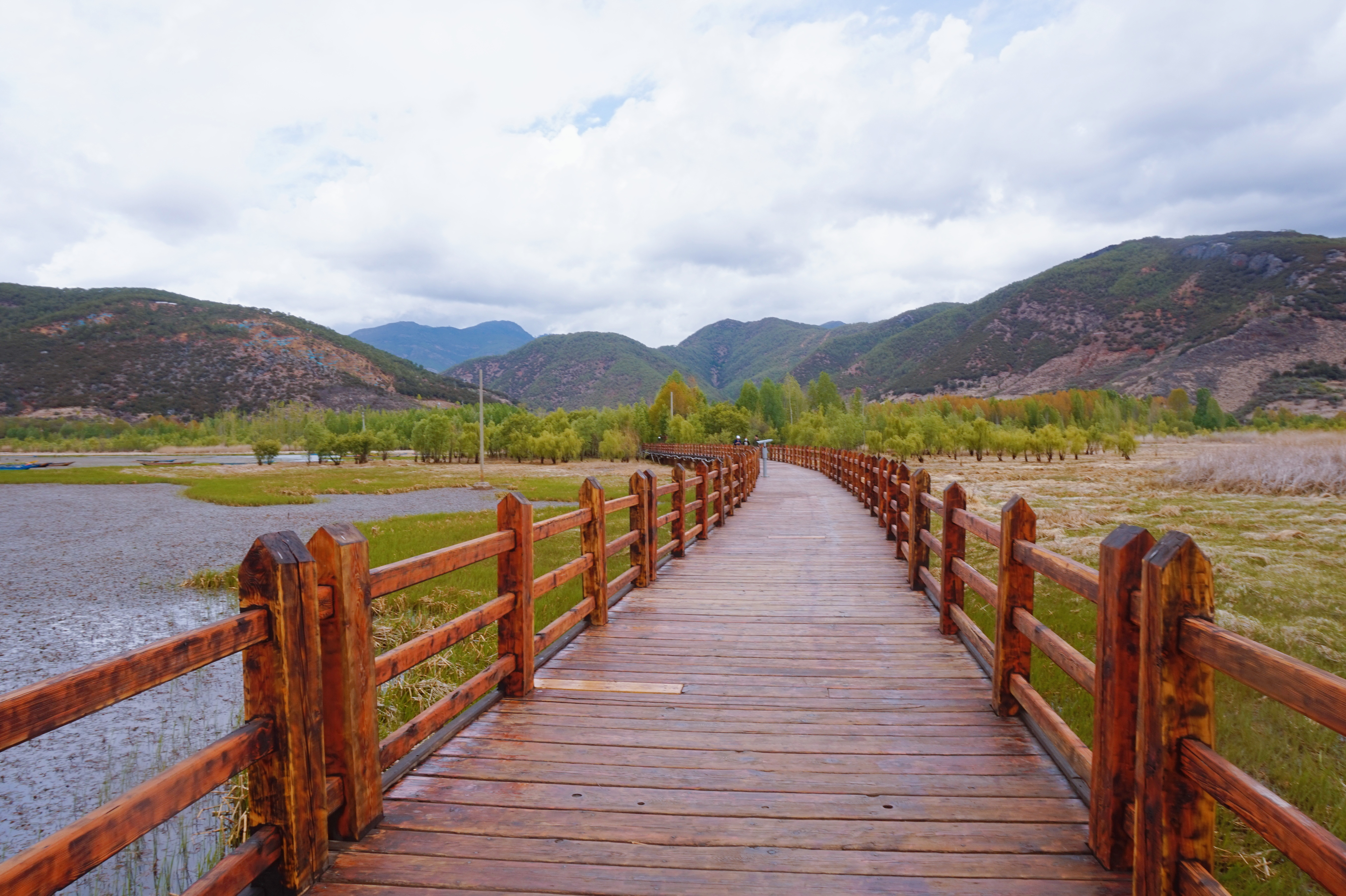 泸沽湖摩梭人美食,泸沽湖母亲的湖