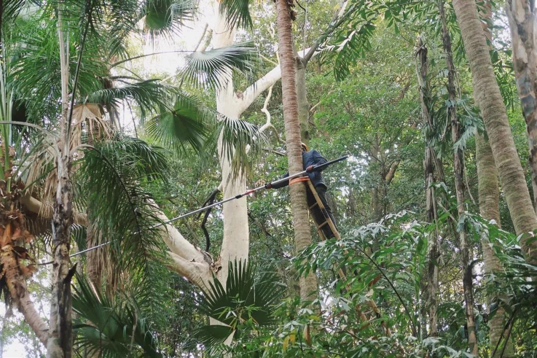 在动物园散步才是正经事|暴走福州