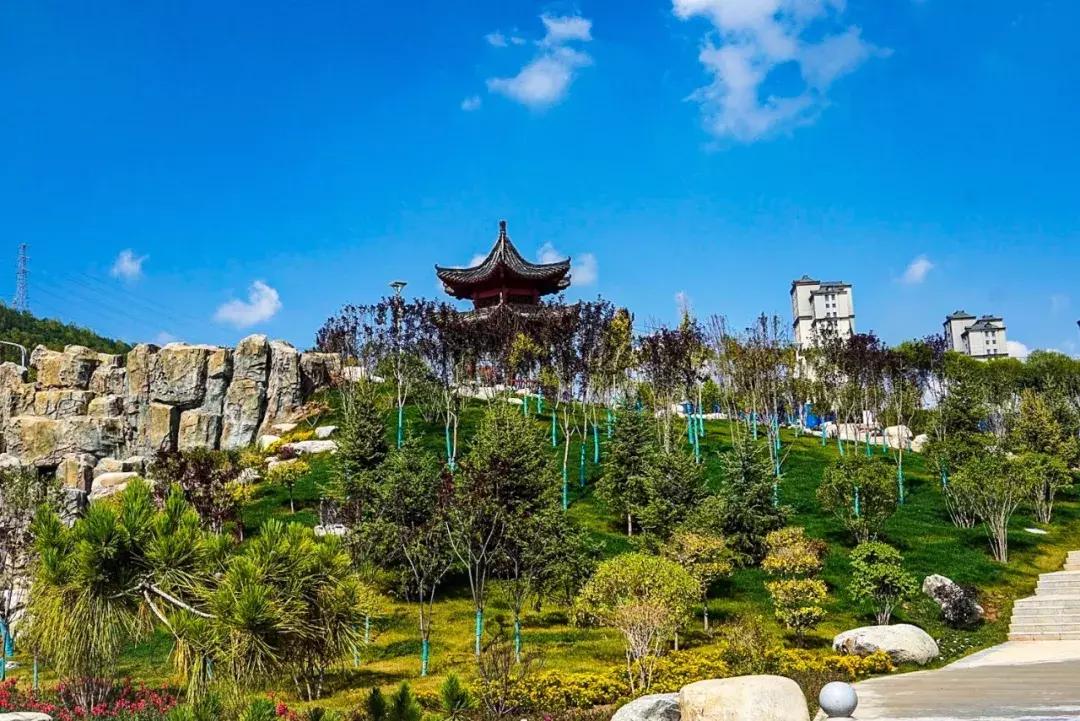 西宁一个臭水沟变成了大公园，看看在哪？