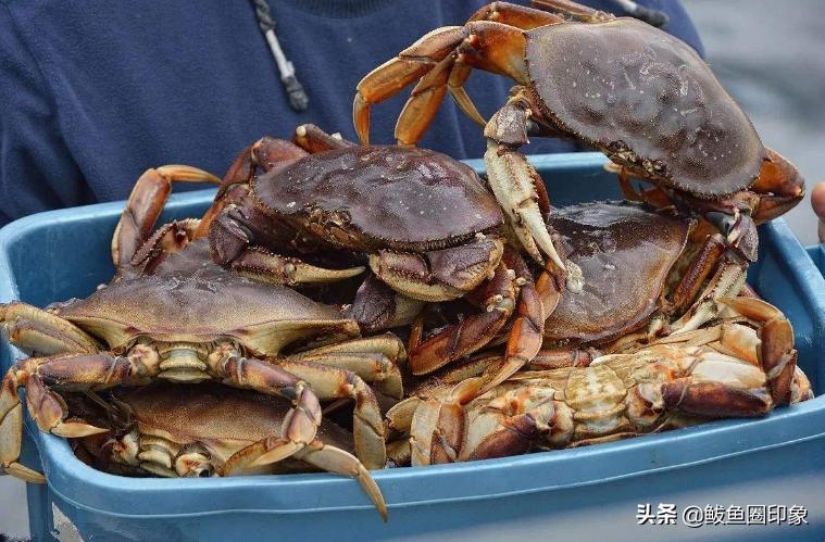 海鲜市场里的秘密：面包蟹其实价格很便宜