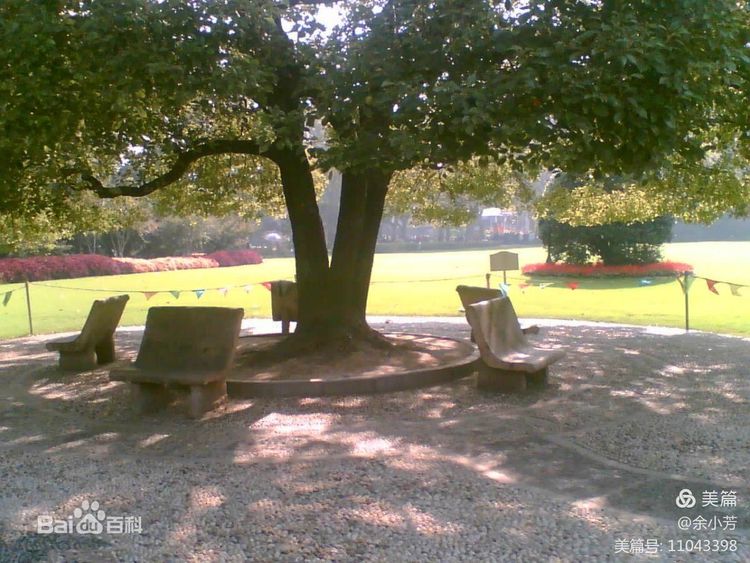 上海中山公园介绍,上海中山公园