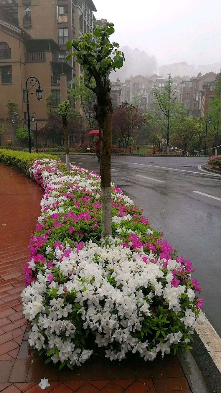 重庆夏天最好的避暑胜地有哪些,重庆适合避暑的地方有哪些