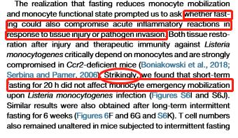 细胞饥饿疗法,细胞饥饿对细胞周期的影响